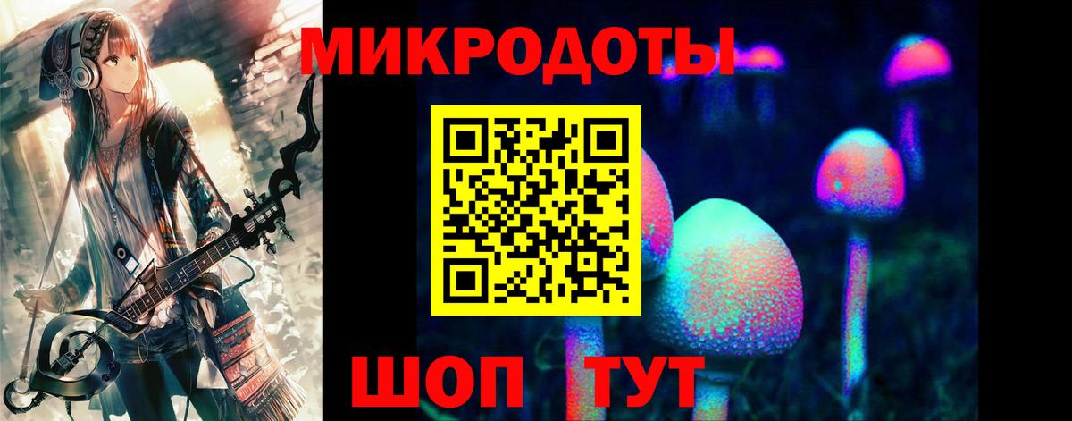 Псилоцибиновые грибы GOLDEN TEACHER  Вход с VPN  Псилоцибиновые грибы мицелий  Биробиджан 